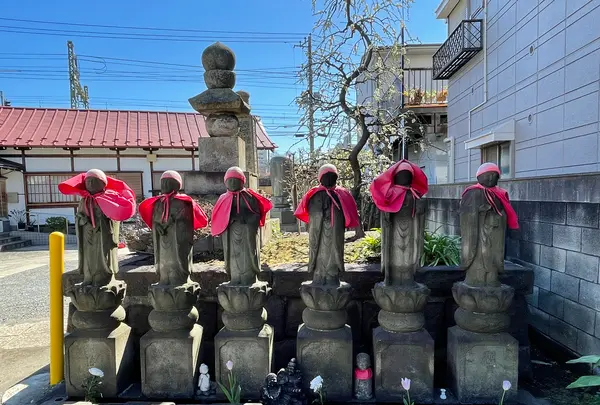 慶運寺の写真・動画_image_413958