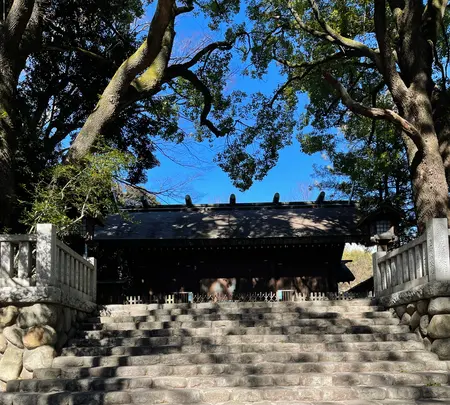 洲崎大神の写真・動画_image_413959
