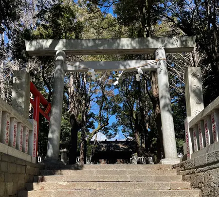 洲崎大神の写真・動画_image_413961
