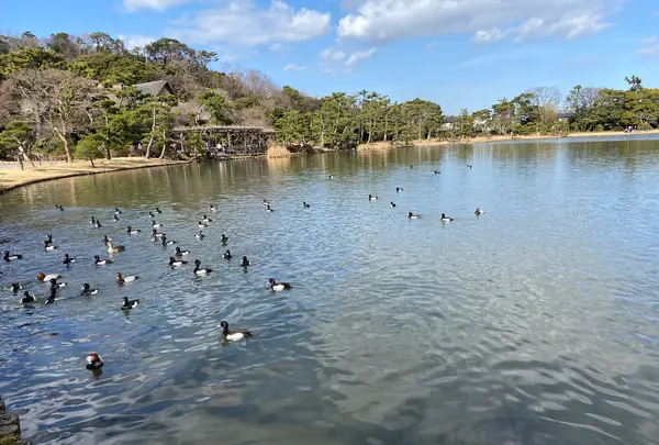三溪園の写真・動画_image_414166