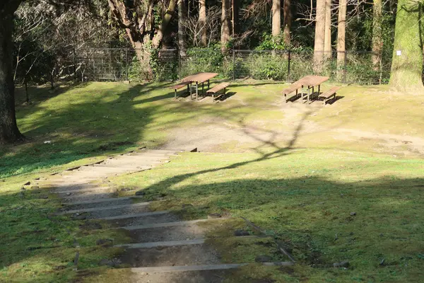 こども広場（Play Ground）の写真・動画_image_414252