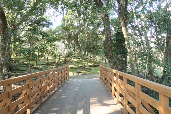 はにわ橋の写真・動画_image_414254