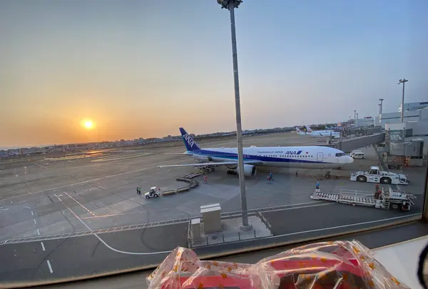 福岡空港の写真・動画_image_414300