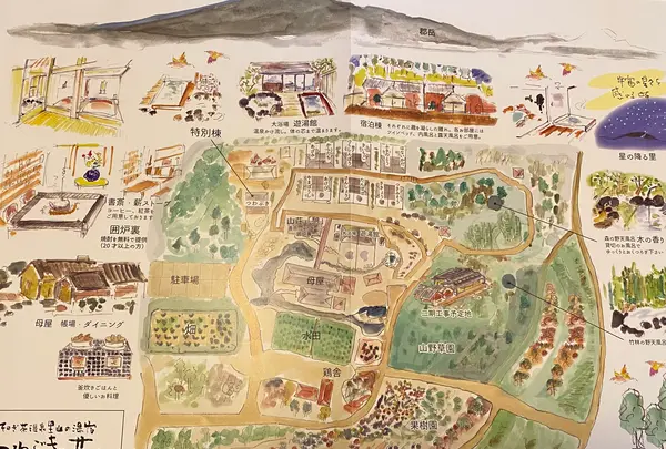 そのぎ茶温泉里山の湯宿 つわぶきの花の写真・動画_image_414314