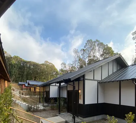 そのぎ茶温泉里山の湯宿 つわぶきの花の写真・動画_image_414320
