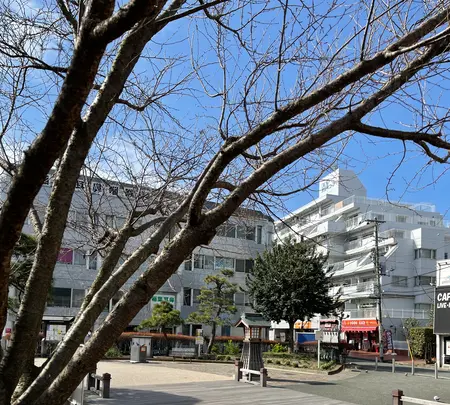 帷子橋（新町橋）跡の写真・動画_image_414331