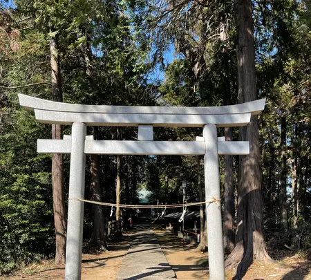 王子神社の写真・動画_image_414391