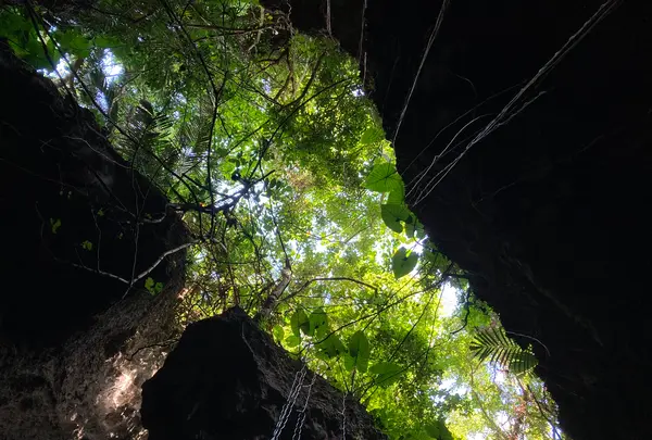 ヌドクビアブの写真・動画_image_414435