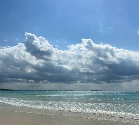 渡口の浜の写真・動画_image_414462