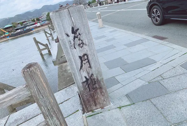 渡月橋の写真・動画_image_414500