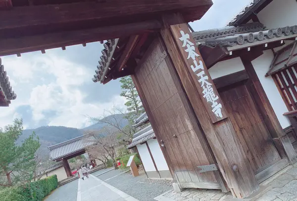 天龍寺の写真・動画_image_414511