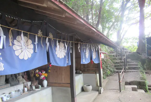 御船山楽園の写真・動画_image_414647