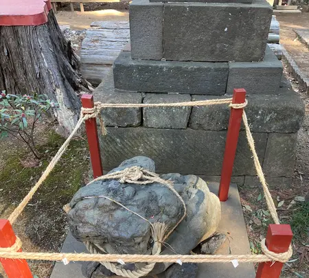王子神社の写真・動画_image_414659