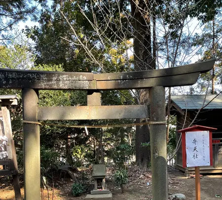 王子神社の写真・動画_image_414663