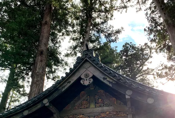 日光東照宮の写真・動画_image_414805