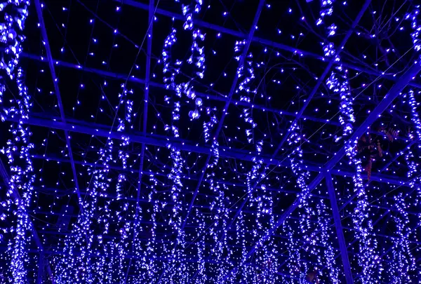 あしかがフラワーパークの写真・動画_image_414819