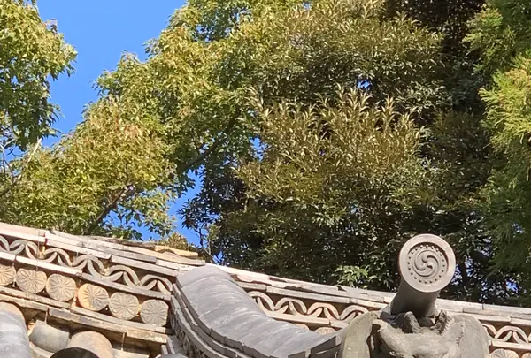 石清水八幡宮の写真・動画_image_414861