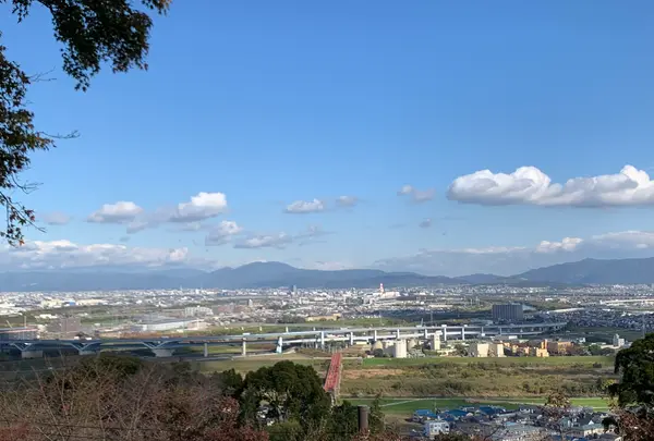 石清水八幡宮の写真・動画_image_414864