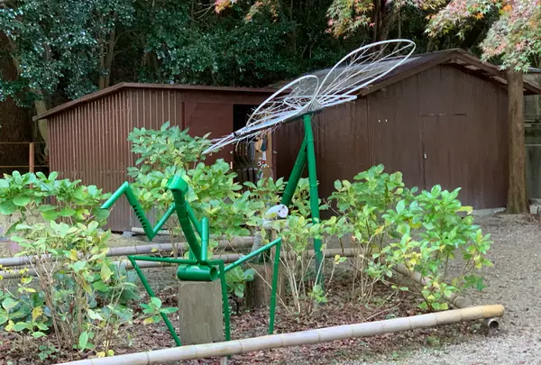 石清水八幡宮の写真・動画_image_414866