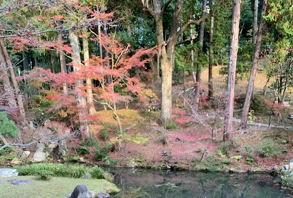 金戒光明寺の写真・動画_image_414876
