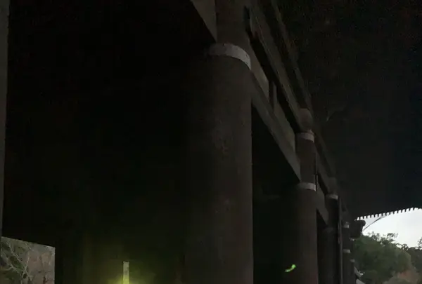 南禅寺の写真・動画_image_414882