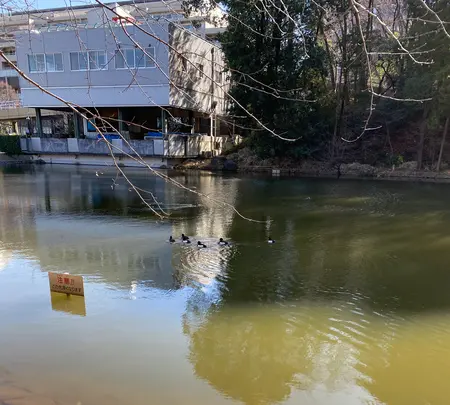 都筑中央公園の写真・動画_image_414902
