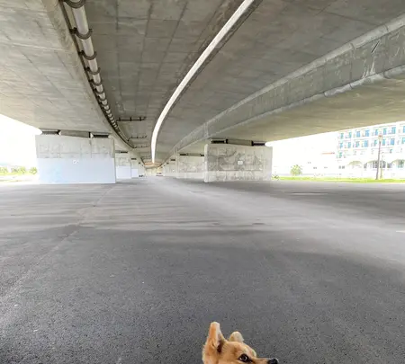 波の上うみそら公園の写真・動画_image_415156