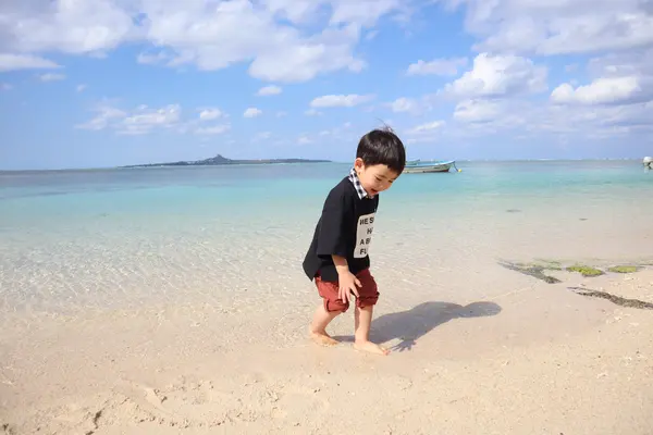備瀬のフクギ並木の写真・動画_image_415241