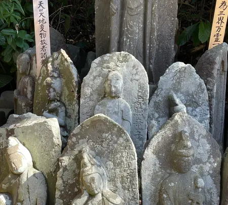 清源院の写真・動画_image_415347