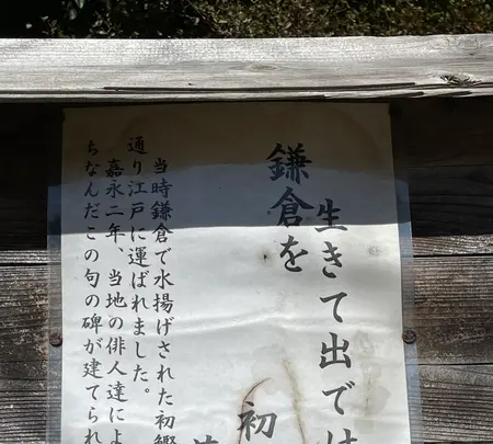 冨塚八幡宮の写真・動画_image_415372