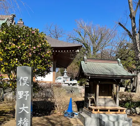 清浄光寺（遊行寺）の写真・動画_image_415432