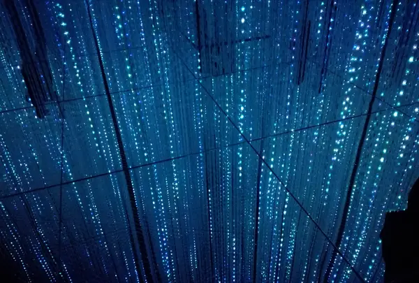 【閉業】森ビルデジタルアートミュージアム：エプソン チームラボボーダレス（MORI Building Digital Art Museum: EPSON teamLab Borderless）の写真・動画_image_416298