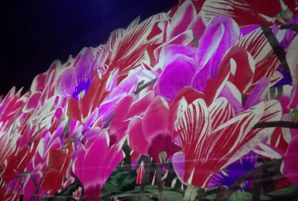 【閉業】森ビルデジタルアートミュージアム：エプソン チームラボボーダレス（MORI Building Digital Art Museum: EPSON teamLab Borderless）の写真・動画_image_416302