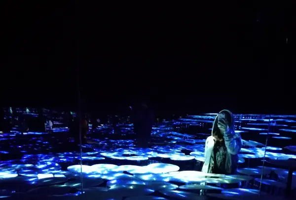【閉業】森ビルデジタルアートミュージアム：エプソン チームラボボーダレス（MORI Building Digital Art Museum: EPSON teamLab Borderless）の写真・動画_image_416304