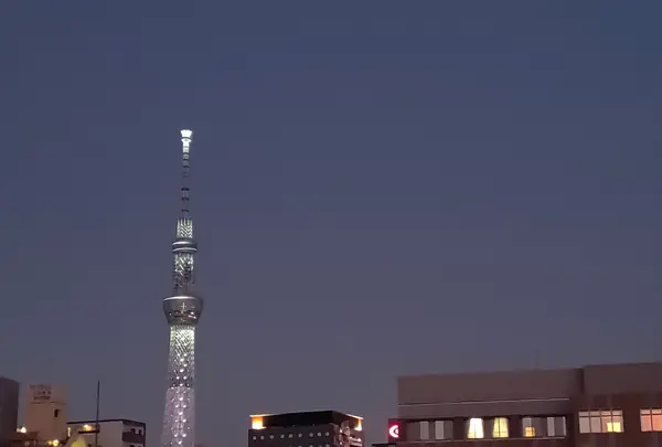 TOKYO-W-INN Asakusaの写真・動画_image_416334