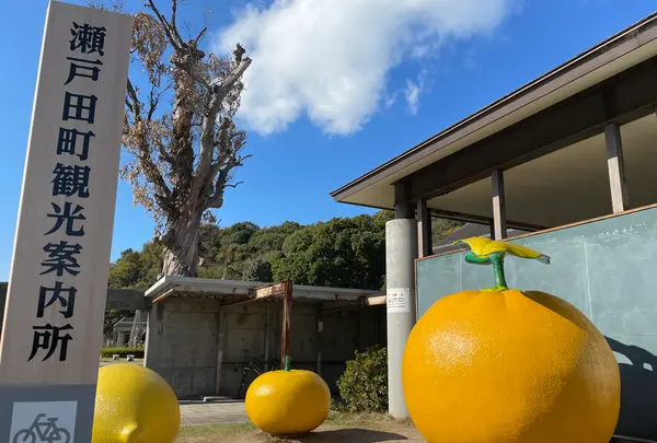瀬戸田町観光案内所の写真・動画_image_416433