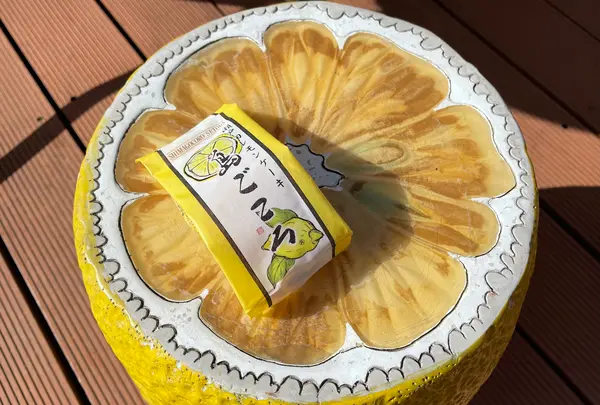 島ごころ SETODA本店の写真・動画_image_416451