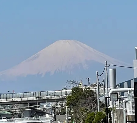 東海道南湖左富士之碑の写真・動画_image_416487