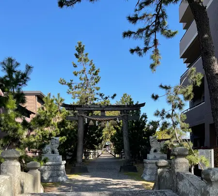 鶴嶺八幡宮の写真・動画_image_416498