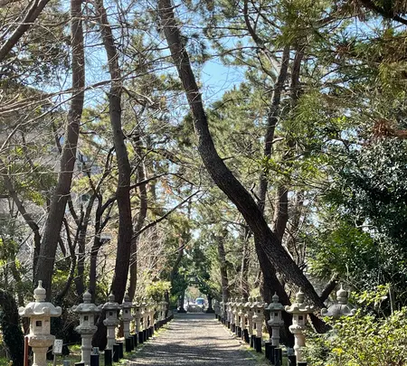 鶴嶺八幡宮の写真・動画_image_416500