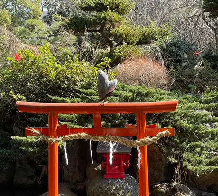 平塚八幡宮の写真・動画_image_416523