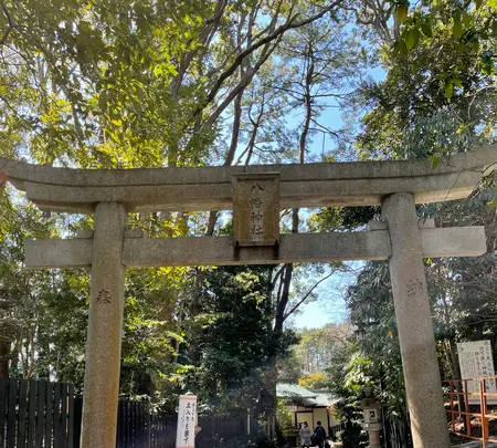 平塚八幡宮の写真・動画_image_416529