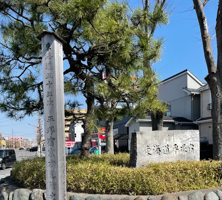 江戸見附緑地の写真・動画_image_416532