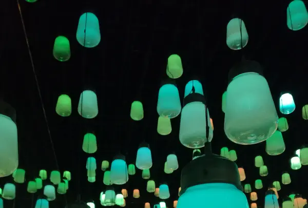 【閉業】森ビルデジタルアートミュージアム：エプソン チームラボボーダレス（MORI Building Digital Art Museum: EPSON teamLab Borderless）の写真・動画_image_416565