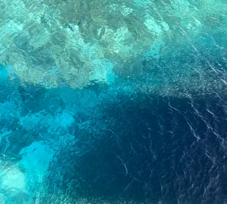 ナガンヌ島の写真・動画_image_416641