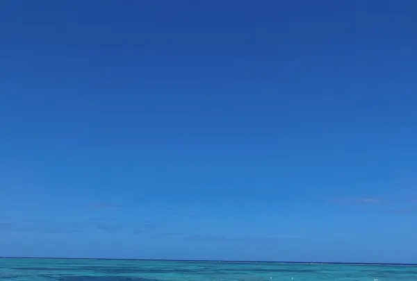 ナガンヌ島の写真・動画_image_416643