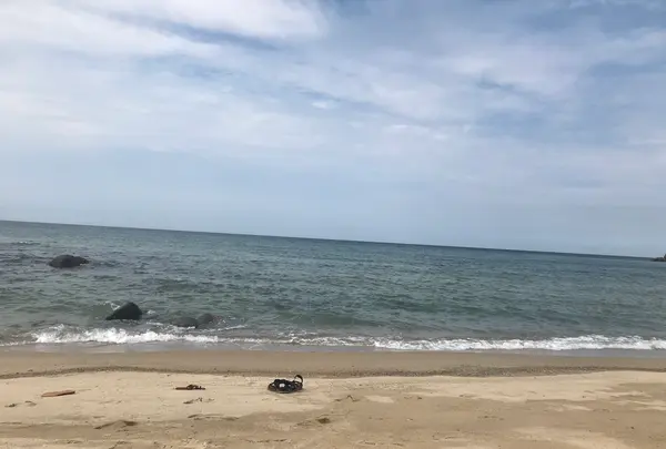 糸島市の写真・動画_image_416752