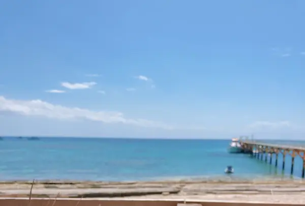 ダイニングテラス ナガンヌ島の写真・動画_image_416762