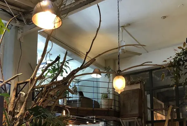 YANEの写真・動画_image_416836