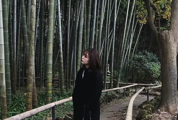 英勝寺の写真・動画_image_416877